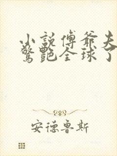 小说傅爷夫人又惊艳全球了免费下载