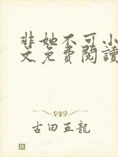 非她不可小说全文免费阅读