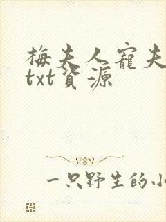 梅夫人宠夫日常txt资源