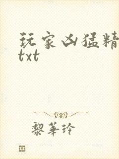 玩家凶猛精校版txt