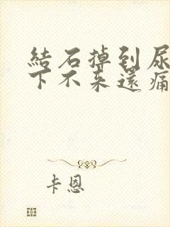 结石掉到尿道里下不来还痛怎么办