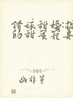 错嫁甜婚:总裁的甜蜜宠妻