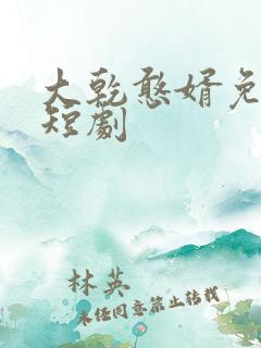 大乾憨婿免费看短剧