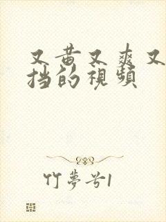 又黄又爽又无遮挡的视频