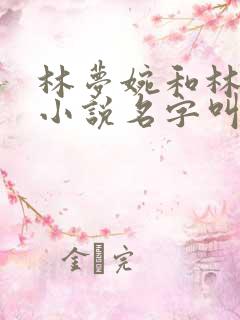 林梦婉和林煜的小说名字叫什么