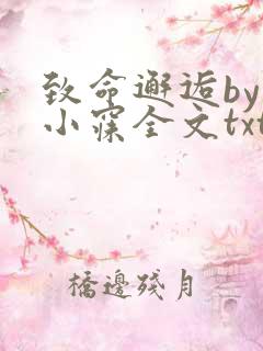 致命邂逅by刘小寐全文txt