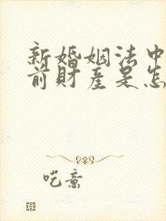 新婚姻法中的婚前财产是怎样规定的