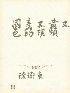 国产又黄又爽又色的视频