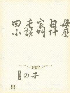 回老家日母原著小说叫什么名字