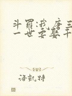 斗罗:我唐三这一世要娶千仞雪第二部