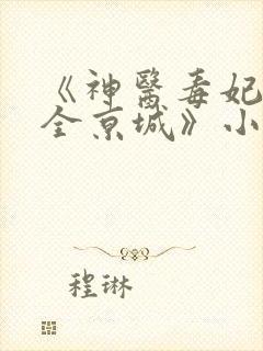 《神医毒妃燃爆全京城》小说