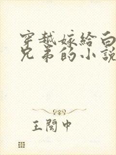 穿越嫁给白家三兄弟的小说