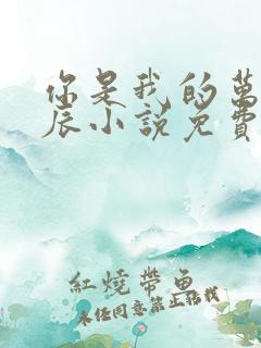 你是我的万千星辰小说免费阅读全文