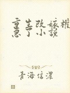 重生改嫁权臣他急了小说