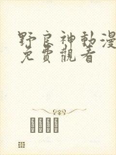 野良神动漫全集免费观看
