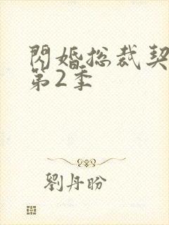 闪婚总裁契约妻第2季