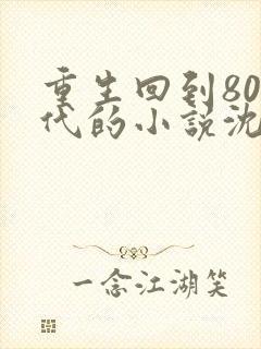 重生回到80年代的小说沈林