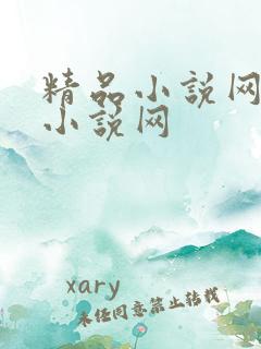 精品小说网极品小说网