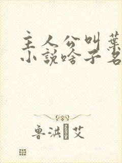 主人公叫叶凡的小说啥子名字