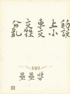 公交车上的疯狂乱牲交小说