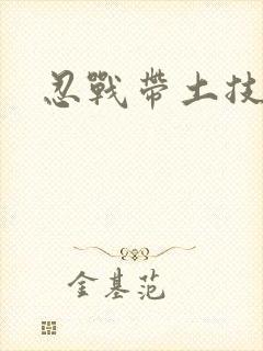 忍战带土技能