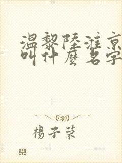 温黎陆淮京小说叫什么名字