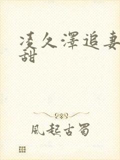 凌久泽追妻有点甜