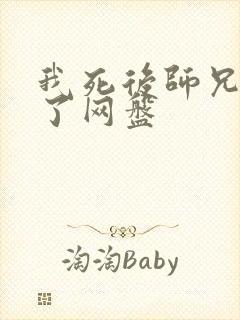 我死后师兄黑化了网盘