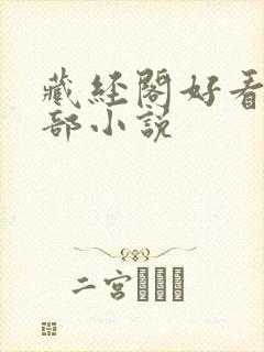 藏经阁好看的全部小说