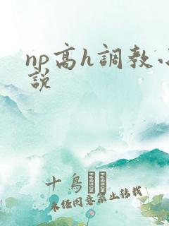 np高h调教小说