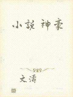 小说 神豪