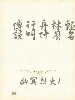 傅行舟林轻轻小说叫什么名字
