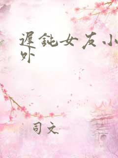 迟钝女友小维番外