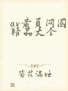 av黄页网国产精品大全