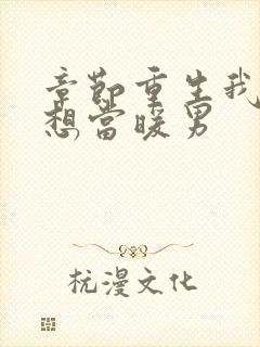 章节重生我真没想当暖男