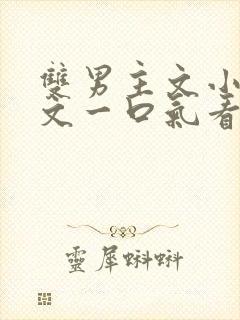 双男主文小说推文一口气看完