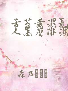 舌苔黄湿气重的人怎么排湿