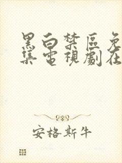 黑白禁区免费全集电视剧在线观看