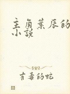 主角叶辰的全部小说