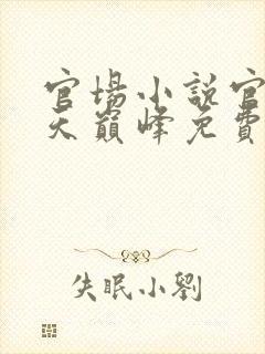 官场小说官途登天巅峰免费阅读