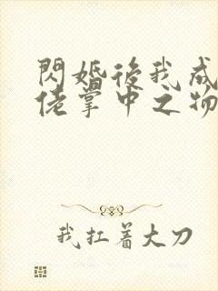 闪婚后我成了大佬掌中之物免费