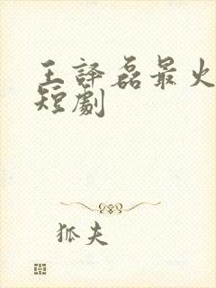 王译磊最火十部短剧