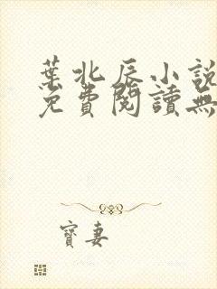 叶北辰小说全文免费阅读无弹窗下载