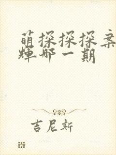 萌探探探案文俊辉哪一期