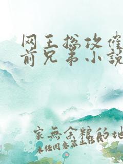 网王总攻催眠越前兄弟小说免费阅读