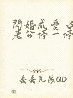 闪婚成爱 凶猛老公停一停