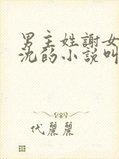 男主姓谢女主姓沈的小说叫什么名