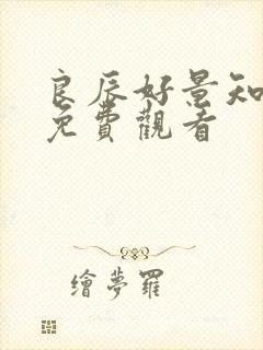 良辰好景知几时免费观看