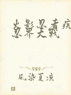 火影忍者疾风传忍界大战