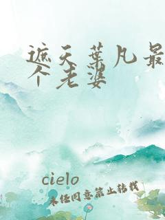 遮天叶凡最后几个老婆